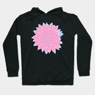 Cotton Candy Succulent Hoodie